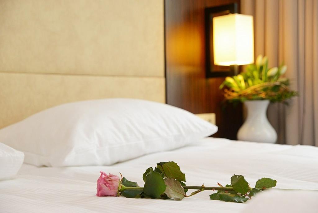 Hotel Fryderyk Nysa Rom bilde